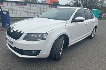 2.0D 150 KM Salon Pl.